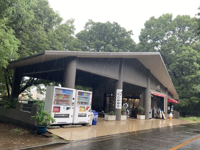 代々木公園の休憩スポット