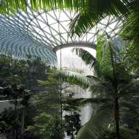 24 hours charming Jewel Changi Airport 