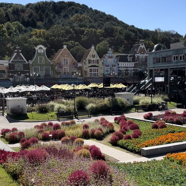 韓国【エバーランド】コキアやコスモスが綺麗🧡秋の庭園 韓国【エバーランド】コキアやコスモスが綺麗🧡秋の庭園