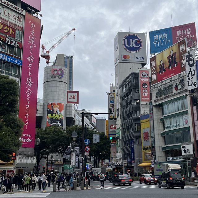 도쿄 시부야 메인 스트리트 “도겐자카”🚦