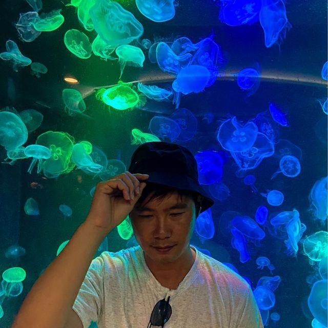 สวรรค์ของคนรักสัตว์น้ำ