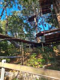 Jungle Coaster, Chiangmai 
