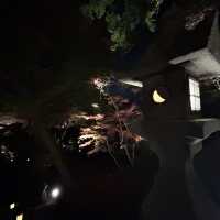 【太宰府】竈門神社の紅葉ライトアップ🍁