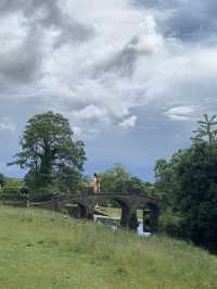 extraordinary open-air museum 