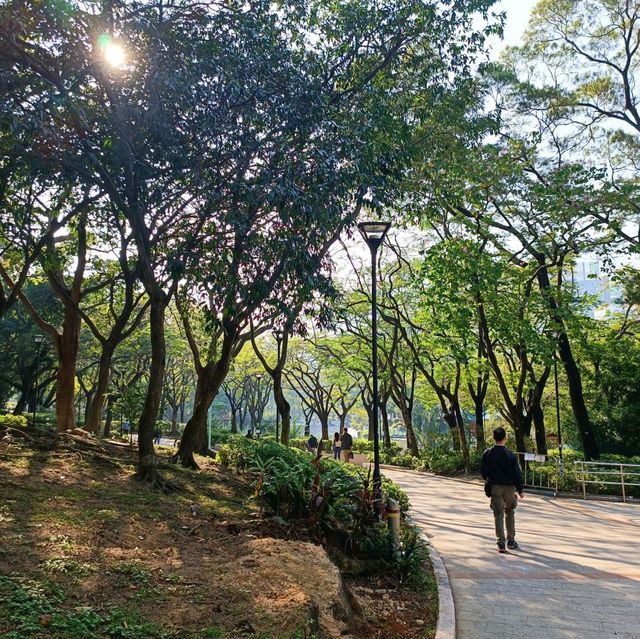 城市中一片靜土~屯門公園