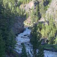 Yellowstone speaks for itself…just listen 💥