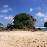 Goa cina beach