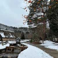 Winter wonderland