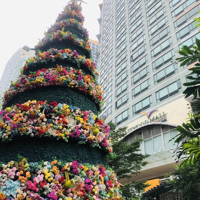 Season Feels at Eastwood City