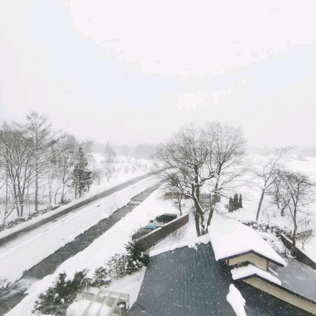 Snowy Christmas in Hakuba