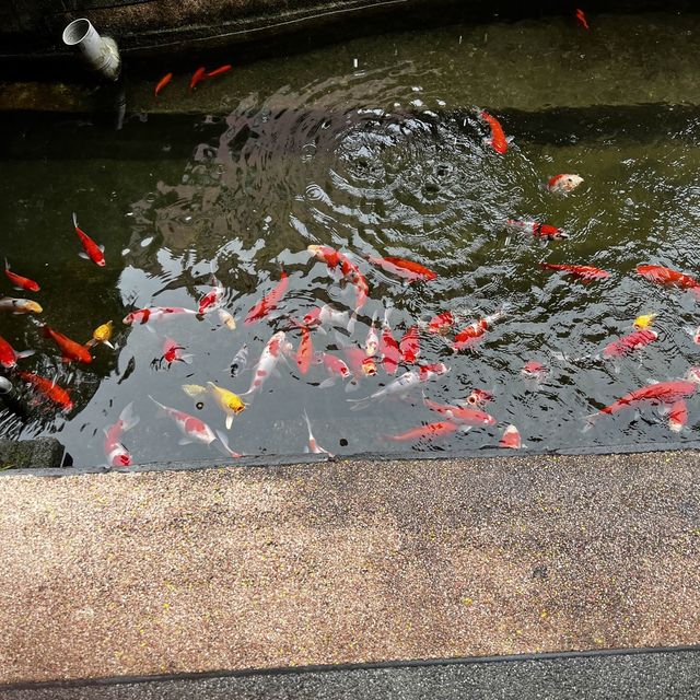 宜蘭餅觀光工廠