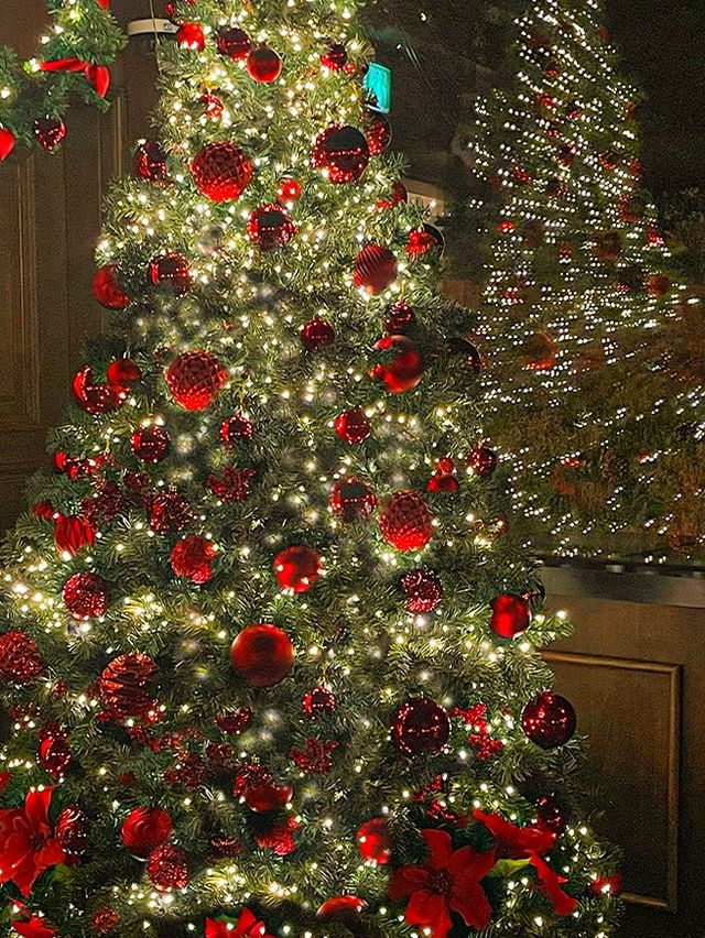 부산에서 가장 핫한 겨울 카페 🎄❄️