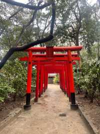 아름다운 신사 스미요시⛩