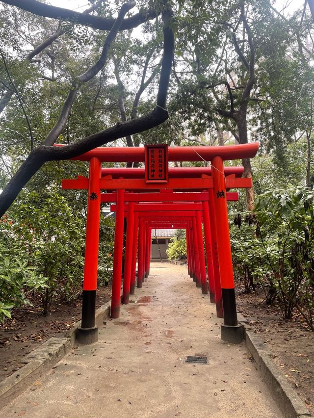 아름다운 신사 스미요시⛩