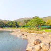 迪欣湖野餐日