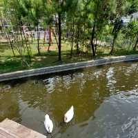 Emaki Almasoem Resort