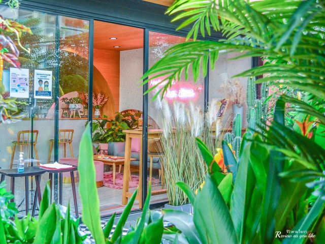 ร้านชานมข้าวโพดที่แรกในประเทศไทย