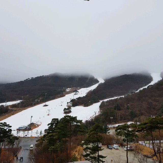 무주 덕유산 리조트 ❄