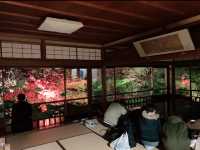 京都[紅葉めぐり]   幻の紅葉　瑠璃光院