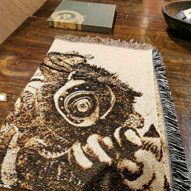 獅王無用醒獅展覽