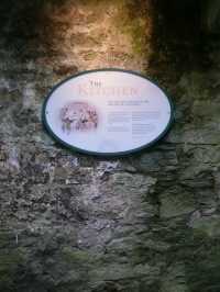 Blarney castle 