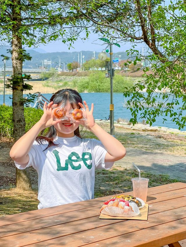 강원도 양구 가볼만한곳 총정리🤩💛