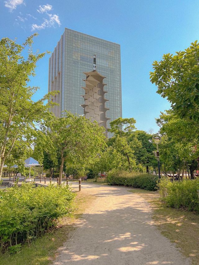 지금 당장 달려가야하는 경주엑스포공원✨