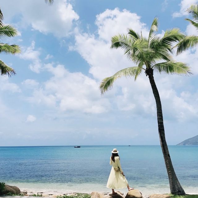 珊瑚灣🏝