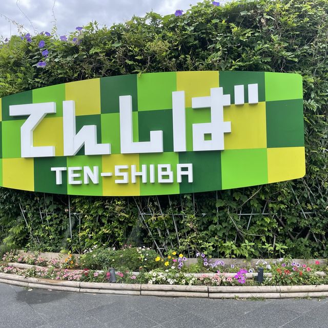 【大阪府】てんしばをぶらり散策