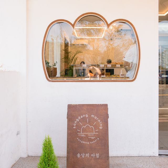 빵지순례들에게 추천하는 제주 송당의 아침 빵집🍞