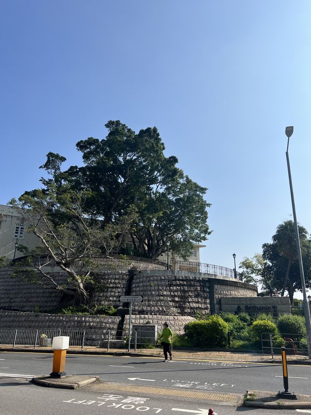 猶如去咗外國 香港大學打卡點