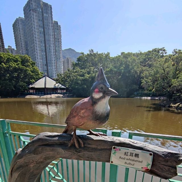 非常有立體感的天后橋🎢