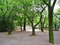 Japanese pavilion gardens