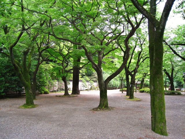 Japanese pavilion gardens