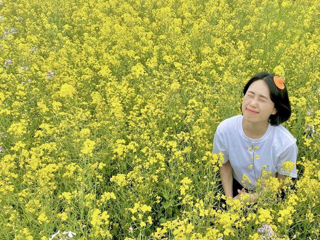 4월 제주 가파도 유채꽃밭에서!🌼