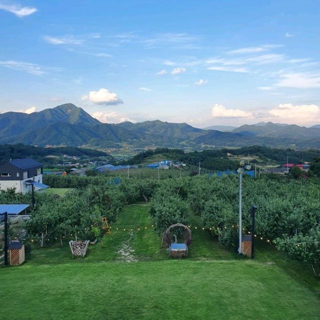 해플스 팜사이더리🍎