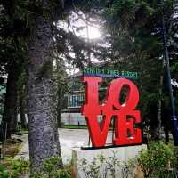Best Hotel in Cameron Highland ❤