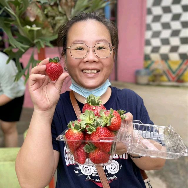 说走就走的金马仑一日游