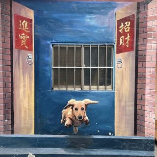 Changhua Zhongquan Community 🖌 There are various cute painted 🖍dogs 🐶 to take photos with you 📷