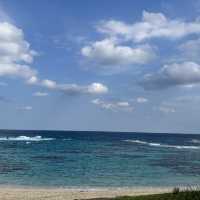 【奄美大島　土盛海岸】ブルーエンジェル🌊✨