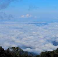 ท้าลมหนาว ชมทะเลหมอก หนาวนี้ที่ดอยอินทนนท์