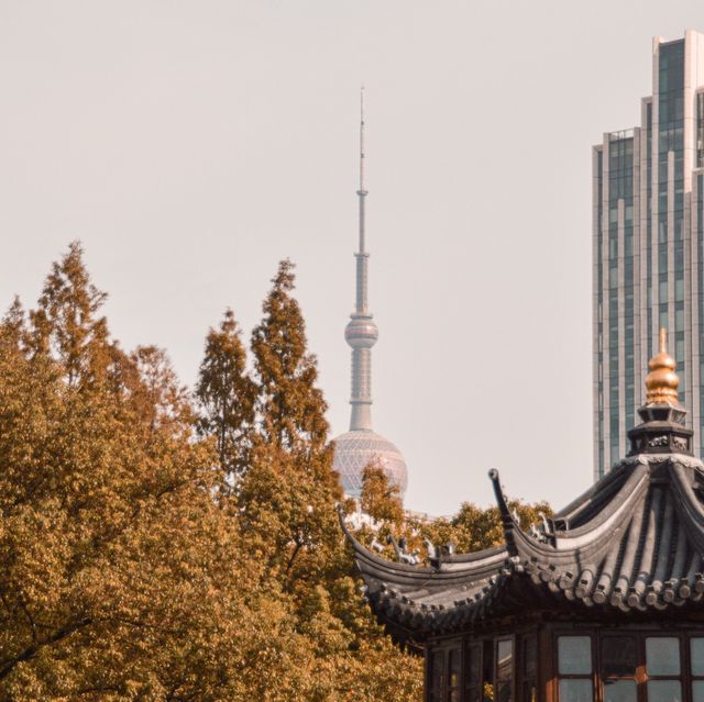 Exploring Shanghai (Yu garden)