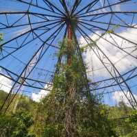 Butterfly Conservatory in the Elephant Valley