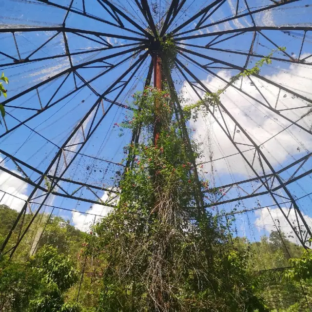 Butterfly Conservatory in the Elephant Valley