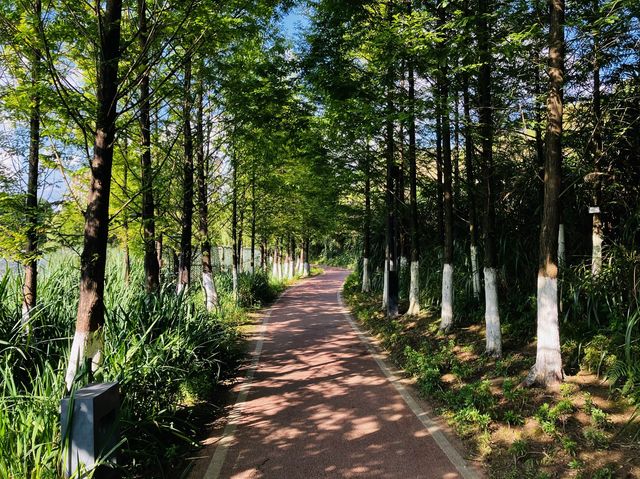 Oh so green! Yueshan Lake, Jinyang, Guiyang 