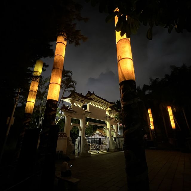打卡深圳龍華公園的夜景