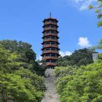 打卡深圳紅花山公園
