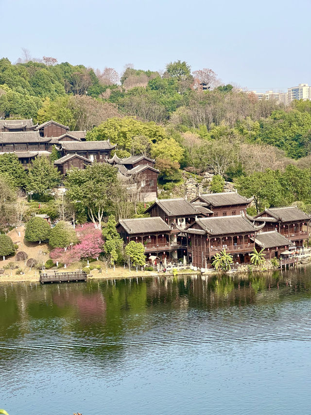 Chongqing Garden Expo Park is now free of charge! Come and enjoy for free!