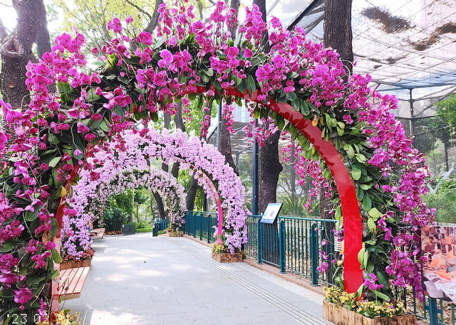 Flower appreciation destination | Hong Kong Zoological and Botanical Gardens' Dreamy Butterfly Orchid Corridor