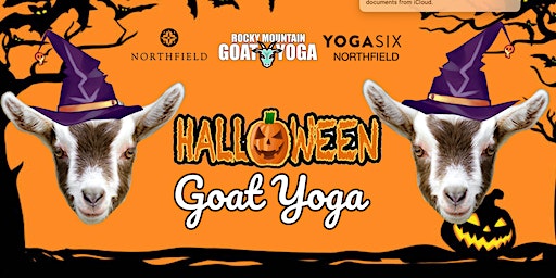 Halloween Goat Yoga - October 12th (YOGA SIX - NORTHFIELD) | 8246 Northfield Blvd #1410